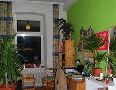Zimmerinnenansicht mit vielen Pflanzen.