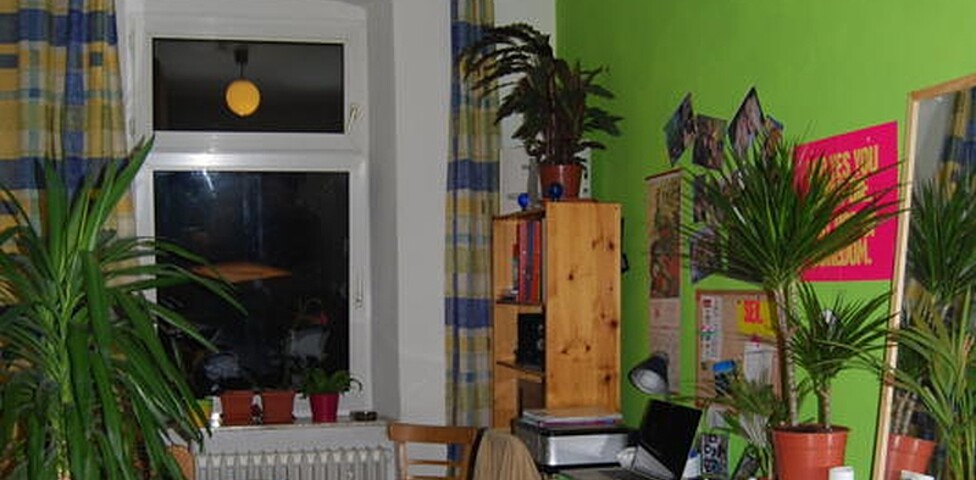 Zimmerinnenansicht mit vielen Pflanzen.